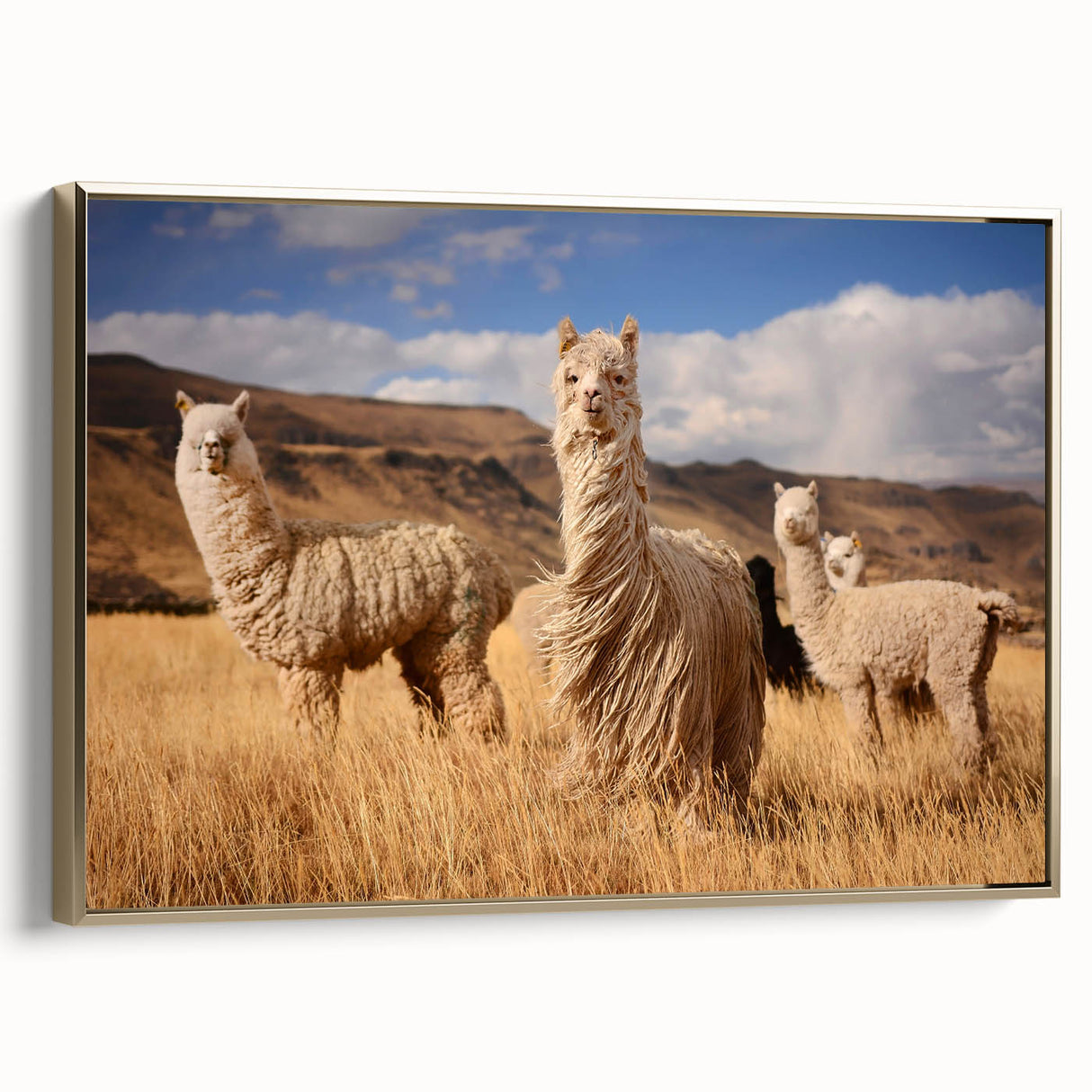 Framed canvas featuring a vintage-style landscape painting of Bolivia, with gold accents, ideal for bedroom wall art.