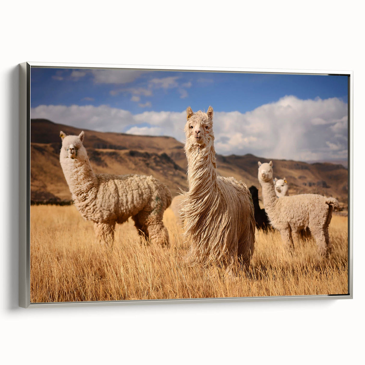 Landscape art painting of a Bolivian scenery on framed canvas, featuring colorful art with black borders.