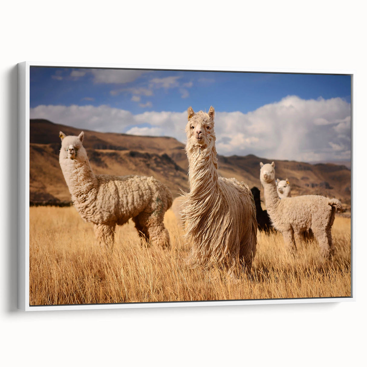 Vintage poster art of a Bolivian landscape on framed canvas, featuring bold colors, perfect for living room decor.