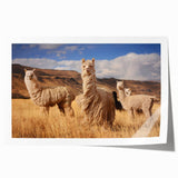 Extra large rolled print of a Bolivian landscape featuring soft pastel shades, ideal for art wall dining room.