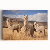 Black and white stretched canvas featuring a scenic view of Bolivian landscapes, ideal for kitchen wall art.