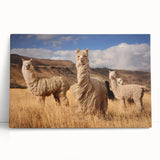 Black and white image of Bolivian landscape on large stretched canvas, ideal for kitchen wall art.