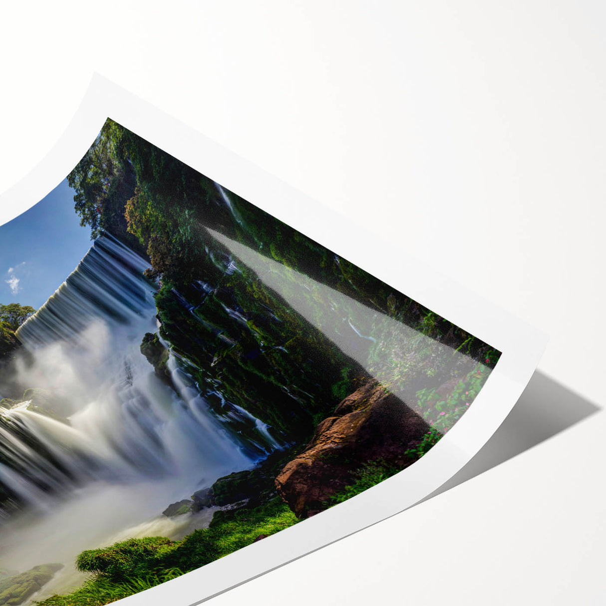 Extra large wall art featuring line art flowers in subtle earth tones on a rolled print.