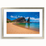 Textured abstract art print of Galapagos scenery in silver frame, featuring earthy tones, suitable for bedroom art.
