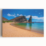 Black and white stretched canvas of Galapagos scenery, ideal for kitchen wall art.