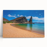 Black and white stretched canvas of Galapagos scenery, ideal for kitchen wall art or bedroom ambiance.