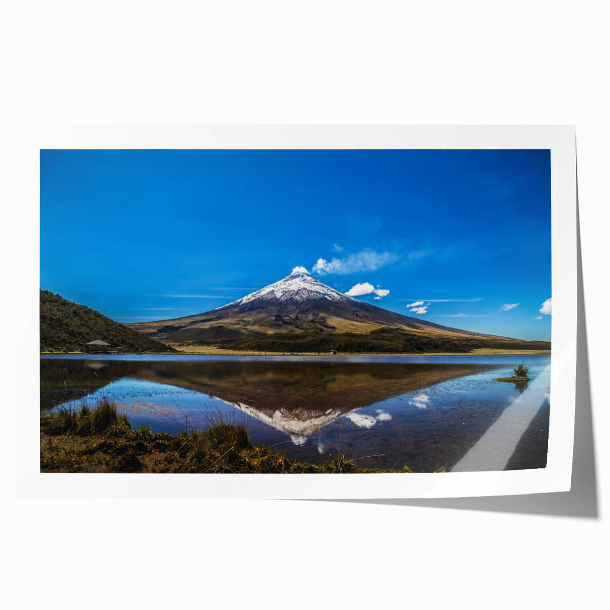 Extra large rolled print depicting vibrant floral scenery of Ecuador, ideal for art wall dining room.