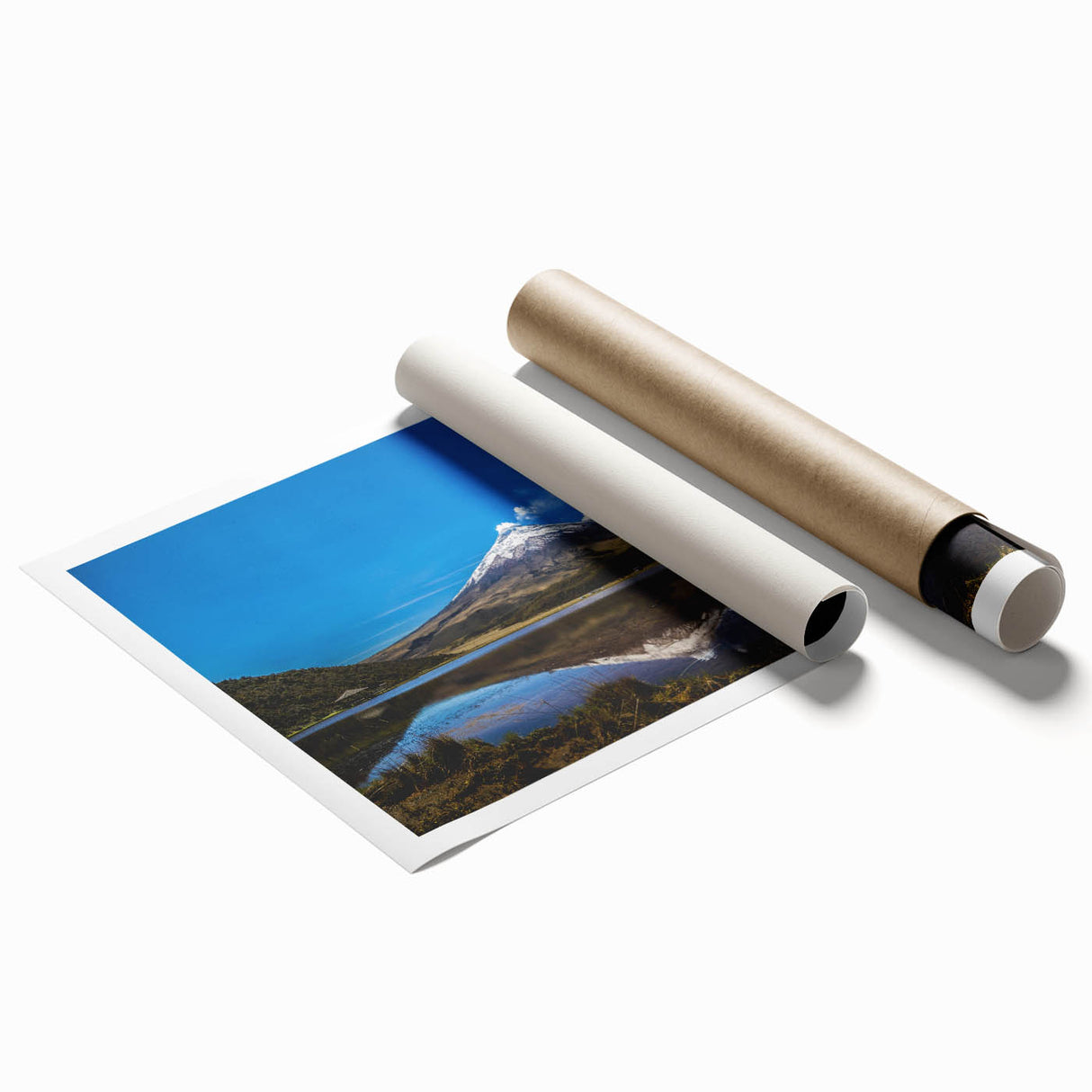 Extra large rolled print featuring a serene floral scene in soft pastel shades, ideal for classy bathroom wall art.