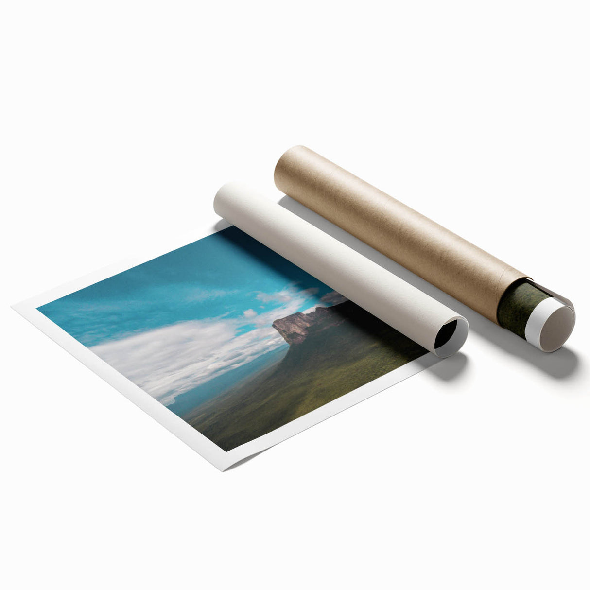 Extra large rolled print of vibrant floral art depicting South American scenery.