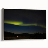 Framed canvas depicting a vintage-style landscape of Denali, Alaska, with vibrant greens and blues.