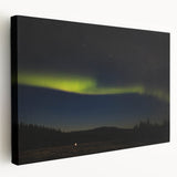 Large canvas print of Denali National Park in muted earth tones, ideal for kitchen wall art.