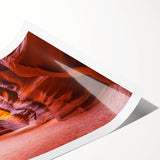 Extra large rolled print featuring line art flowers in muted earth tones, ideal for large living room wall art.