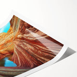 Extra large rolled print featuring a detailed line art of flowers, set against muted earth tones.