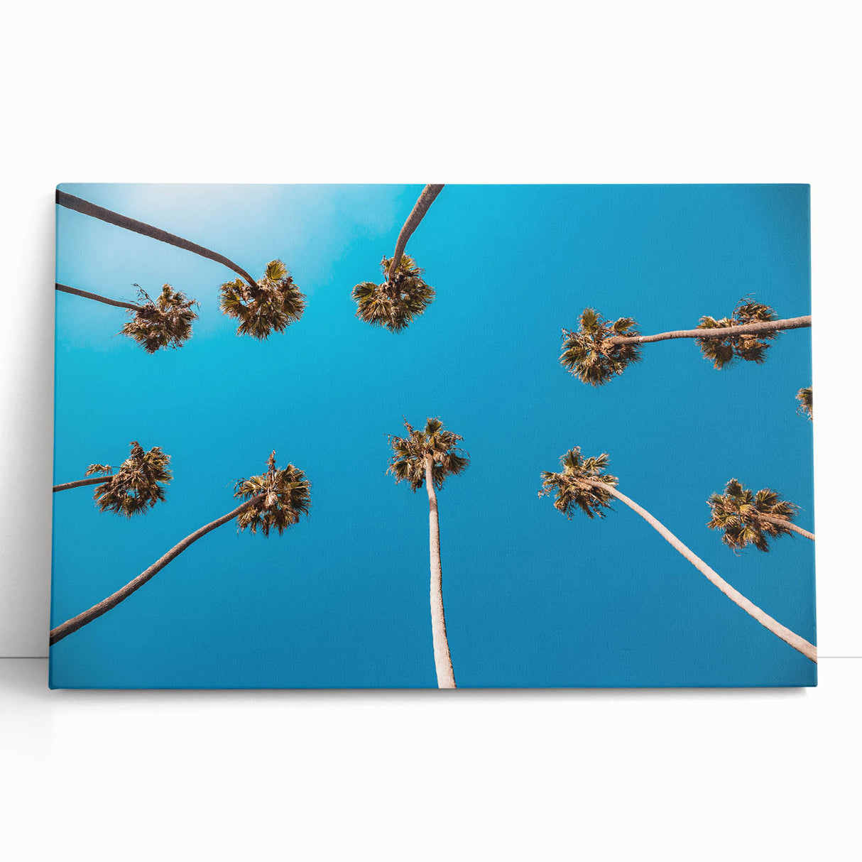 Black and white stretched canvas of Beverly Hills scenery, ideal for kitchen wall art or bedroom decor.