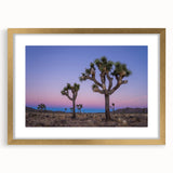Extra large abstract art print featuring Joshua Tree, in gold frame, using textured pastel shades.