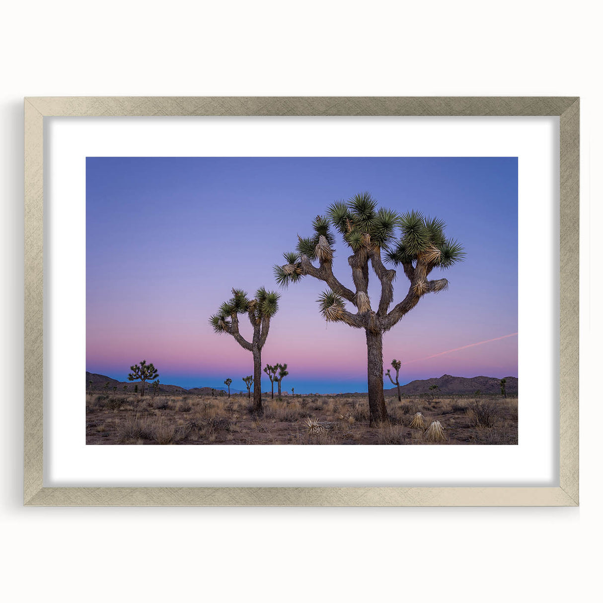 Textured art depicting an abstract Joshua Tree scene in earthy tones, framed in silver, ideal for bedroom art.