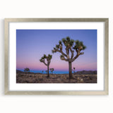 Textured art depicting an abstract Joshua Tree scene in earthy tones, framed in silver, ideal for bedroom art.