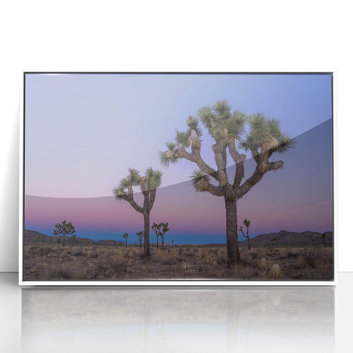 Acrylic print of Joshua Tree in muted earth tones, framed in white, suitable for modern art wall decor or nursery.