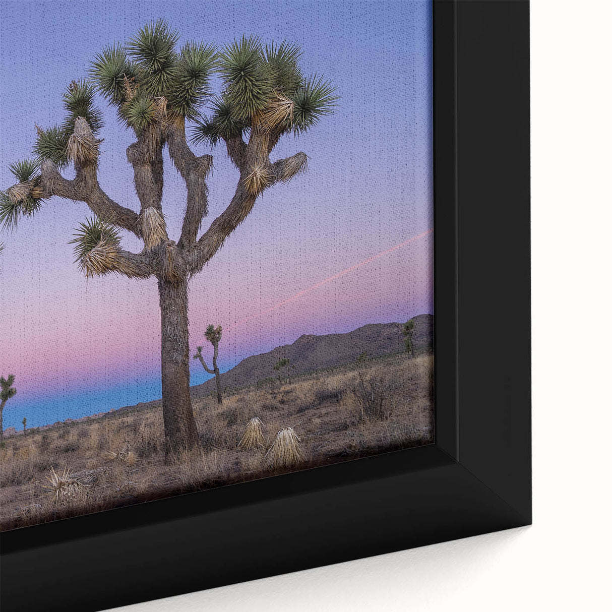 Framed canvas featuring a textured depiction of Joshua Tree with a black background and colorful accents.
