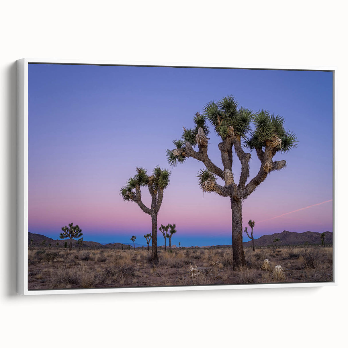Vintage poster art of Joshua Tree in colorful tones on a large framed canvas, suitable for living room decor.