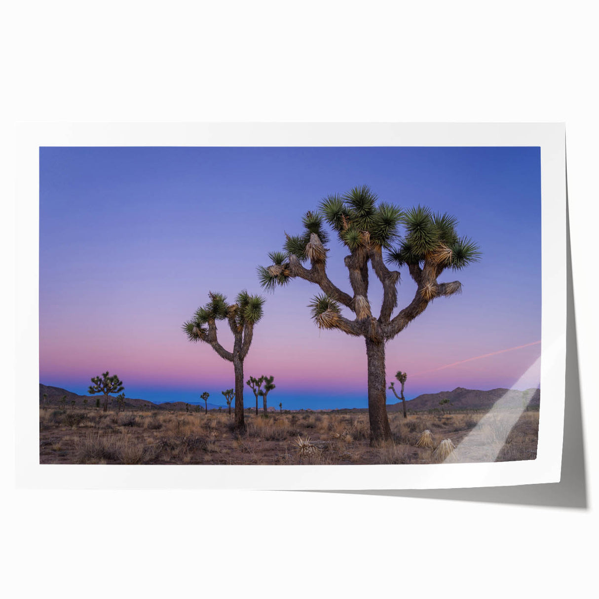 Joshua Tree landscape on rolled canvas with earthy tones, ideal for art wall dining room decor.
