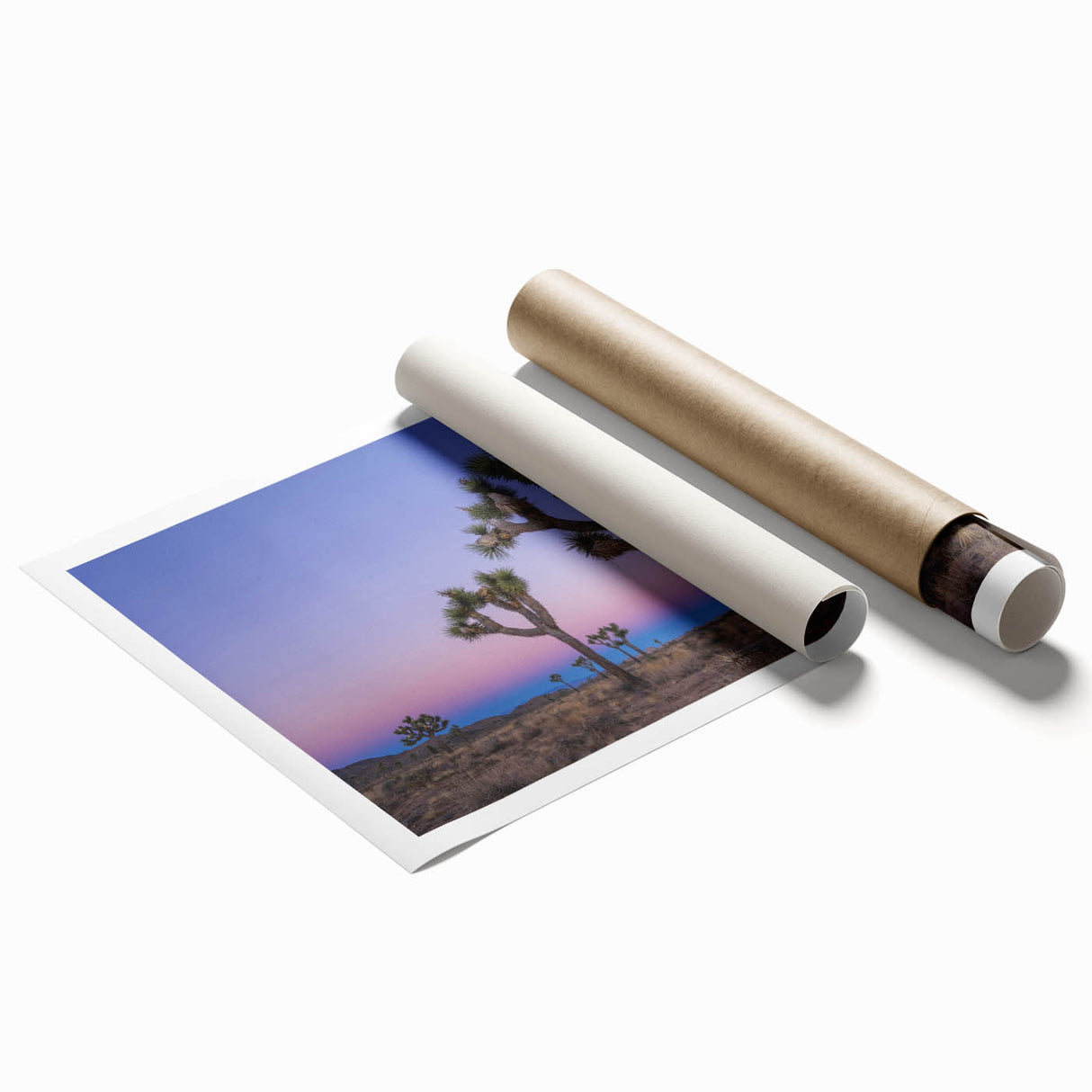 Extra large rolled print featuring a serene Joshua Tree landscape in subdued earth tones, ideal for classy bathroom wall art.