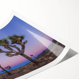 Extra large wall art featuring line art flowers and Joshua trees in muted earth tones, ideal for large living room decor.