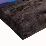 Black and white landscape art of Joshua Tree on stretched canvas, suited for bedroom decor.