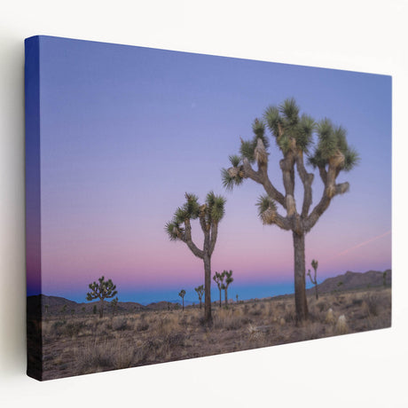 Joshua Tree landscape on large stretched canvas with earthy brown and green tones, suitable for kitchen wall art.