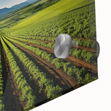 Acrylic print of a large abstract depiction of Napa Valley in earth tones, ideal for dining room art.