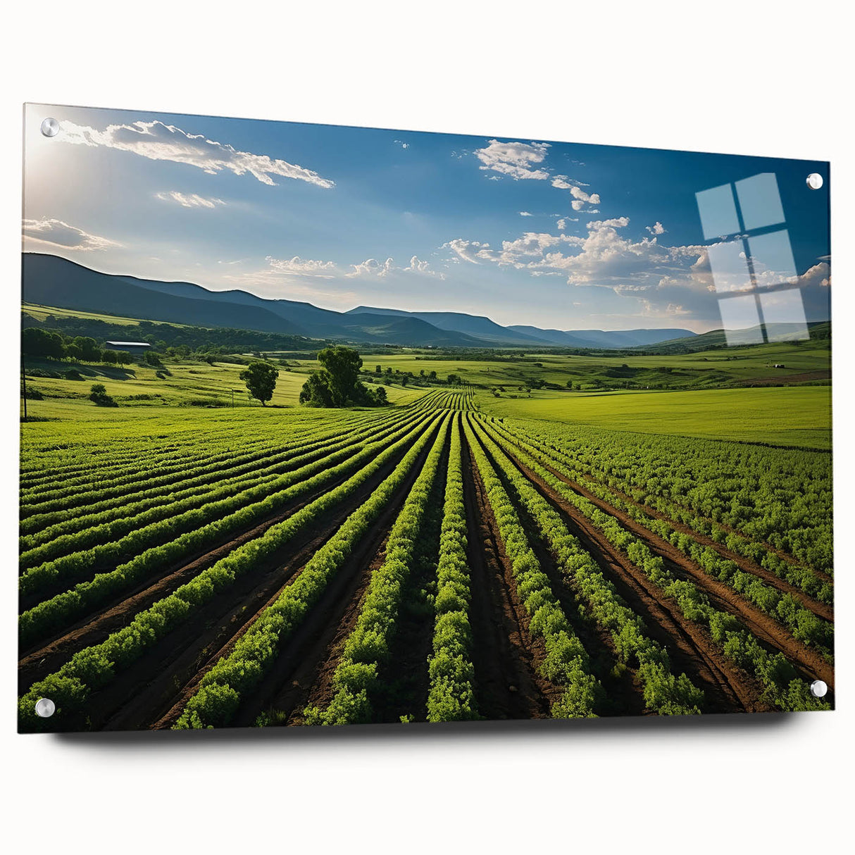 Acrylic print of Napa Valley landscape in muted earth tones, suitable for bedroom or dining room decor.