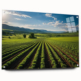 Acrylic print of Napa Valley landscape in muted earth tones, suitable for bedroom or dining room decor.