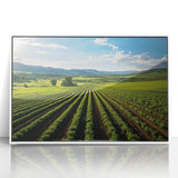 Acrylic print of Napa Valley landscape in muted earth tones, framed in white.