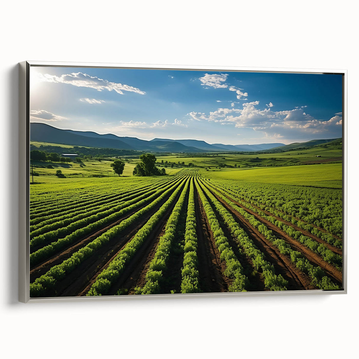 Landscape art painting of Napa Valley on framed canvas, featuring colorful vineyards with black border.