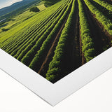 Art deco poster of Napa Valley landscape in soft earth tones on rolled canvas, suitable for dining room wall art.