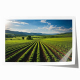Rolled print of Napa Valley landscape with rich green and earth tones, ideal for art wall dining room.