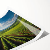 Extra large wall art featuring line art flowers in muted earth tones on rolled print, ideal for large living room decor.