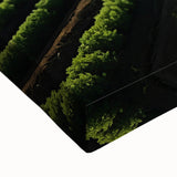 Large art of Napa Valley landscape in black and white on stretched canvas, suitable for bedroom wall decor.