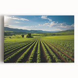 Black and white stretched canvas of Napa Valley scenery, ideal for kitchen wall art.