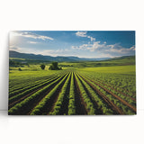Black and white photograph of Napa Valley on stretched canvas, ideal for kitchen wall art or bedroom ambiance.