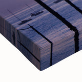 Large black and white canvas print of Santa Barbara landscape, ideal for bedroom wall art.