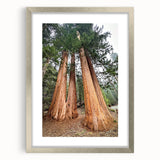 Textured art of a sequoia tree in muted green and brown tones on a framed silver mat, suitable for bedroom decor.