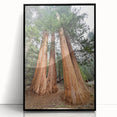 Large abstract wall art depicting a Sequoia tree in muted earth tones, framed in black acrylic.