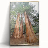 Large art print of a California sequoia landscape in gold frame, mid-century modernist style, suitable for nursery wall art.