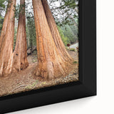 Close-up of a black framed canvas featuring a textured, colorful Sequoia tree design, ideal for living room decor.