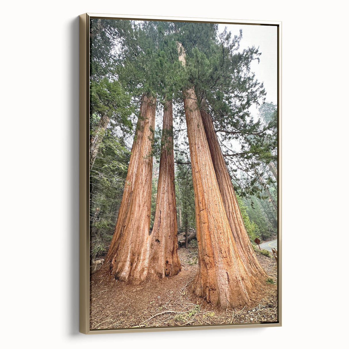 Framed canvas depicting a vintage-style landscape of California's Sequoia National Park in earth tones.
