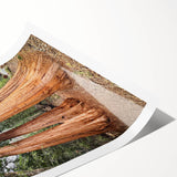 Extra large wall art featuring line art flowers on rolled print, with muted green and brown tones.