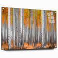 Acrylic glass print of Aspen, Colorado scenery in autumn hues, suitable for dining room decor.