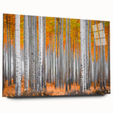 Large abstract wall art depicting Aspen, Colorado scenery in muted earth tones on acrylic glass.