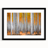 Extra large, textured abstract art print of a colorful Aspen landscape, framed in black, suitable for living room decor.